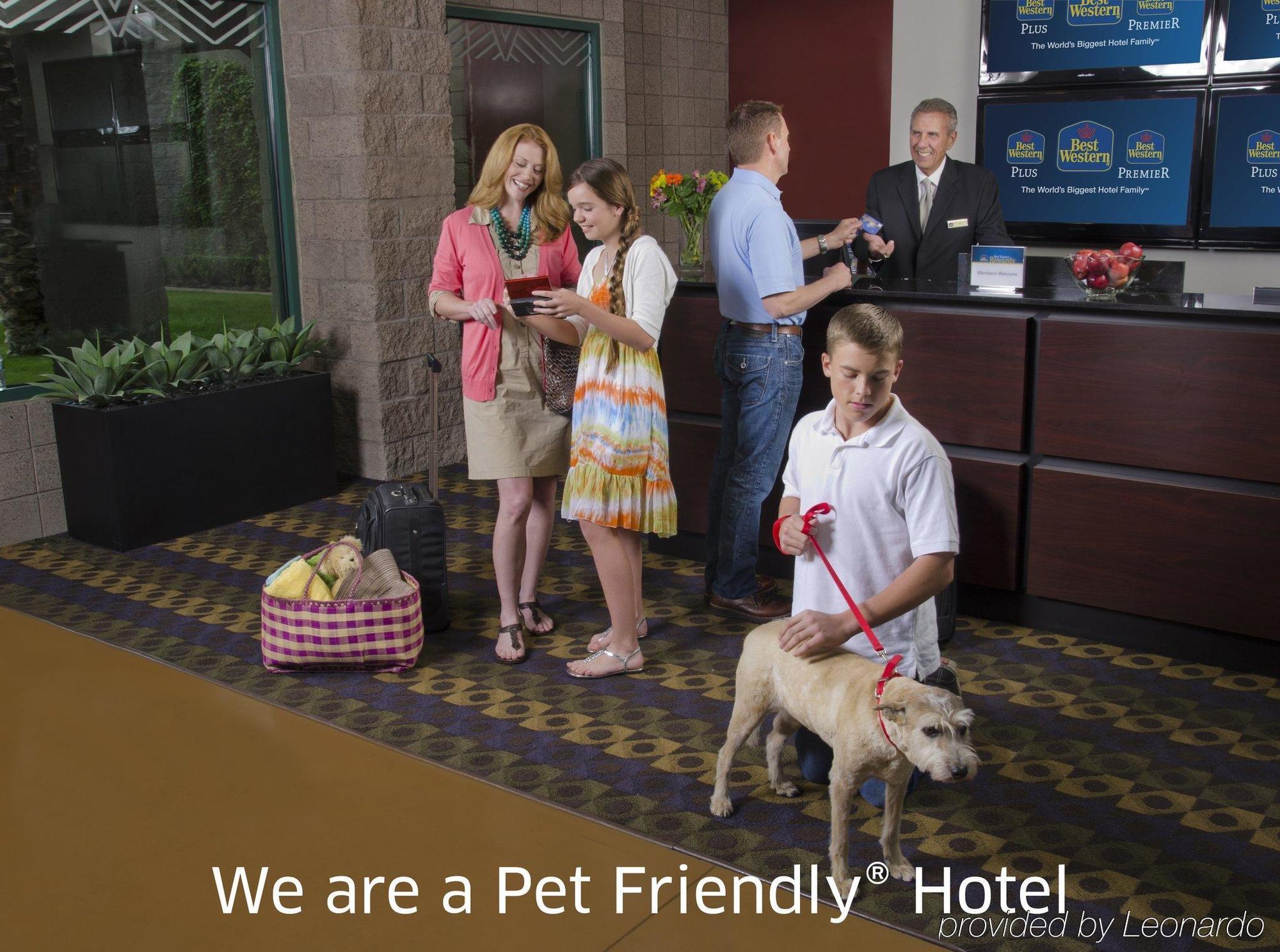 Best Western Plus Cotton Tree Inn North Salt Lake Zewnętrze zdjęcie
